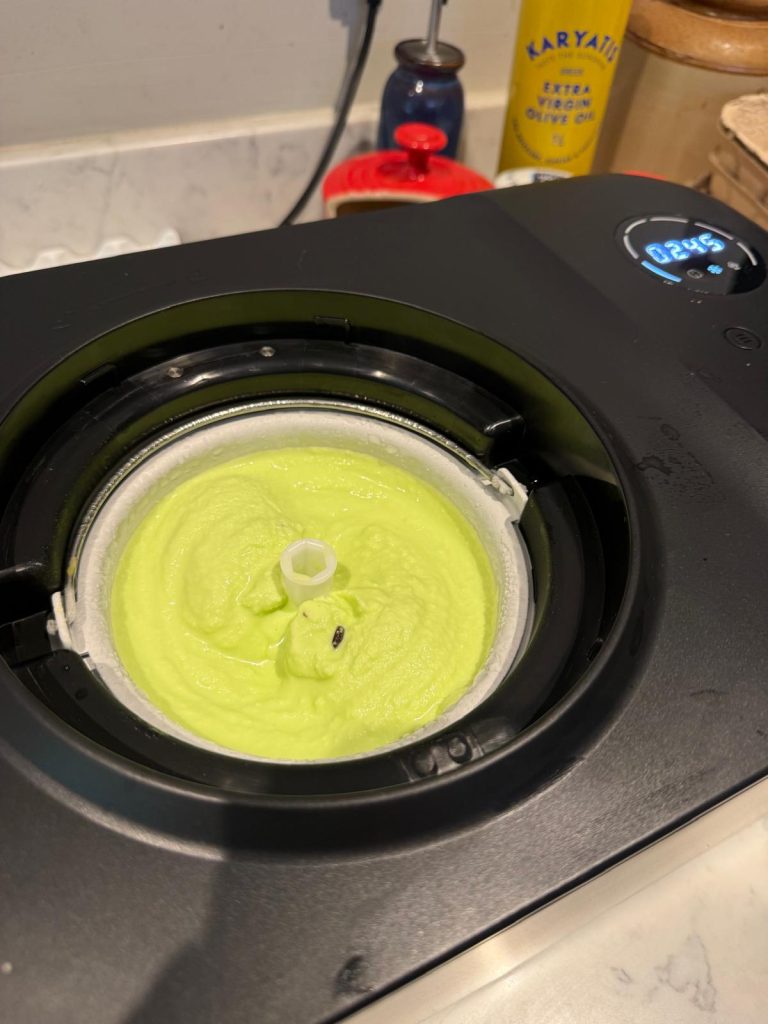 Freshly churned mint choc chip ice cream with chocolate flecks in the canister