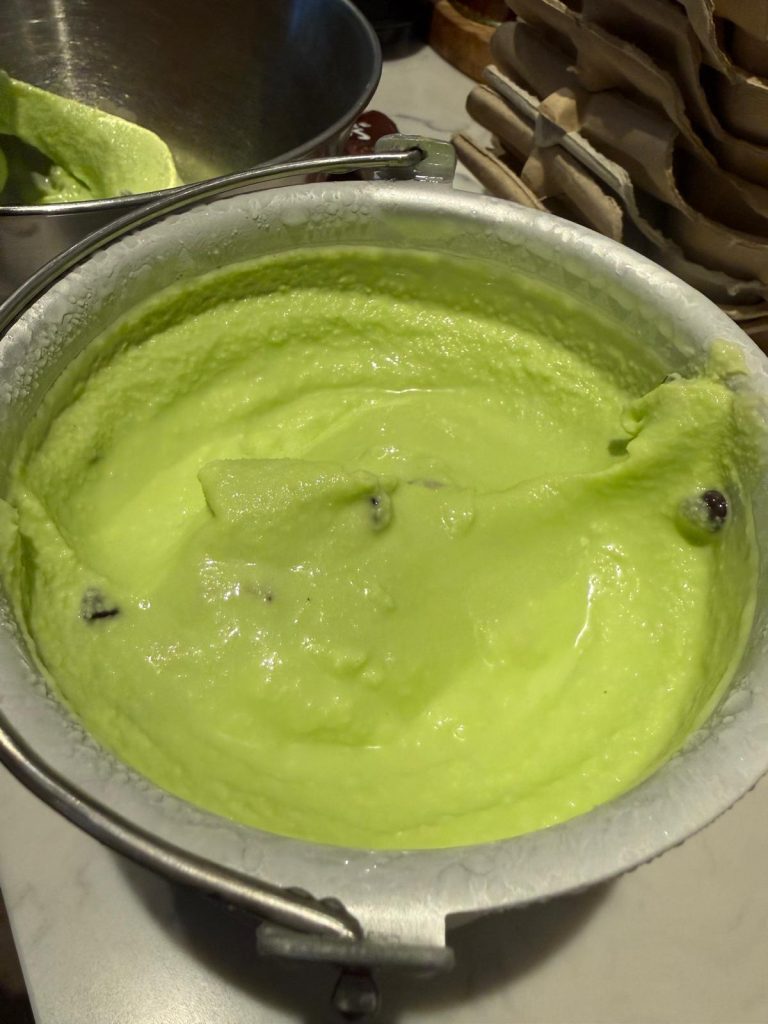 Freshly churned mint choc chip ice cream with chocolate flecks in the canister