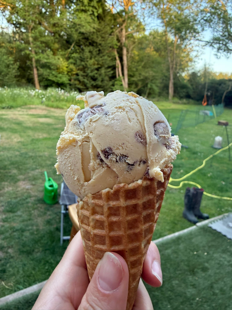 Peanut butter ice cream code with reeces pieces home made